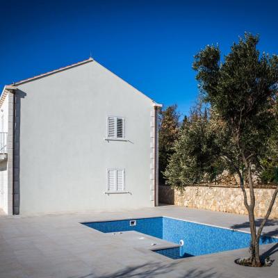 12916121 848167135310228 4521254978940591921 O 1