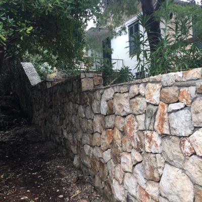 17103753 1338070176260000 4281574318656911101 N