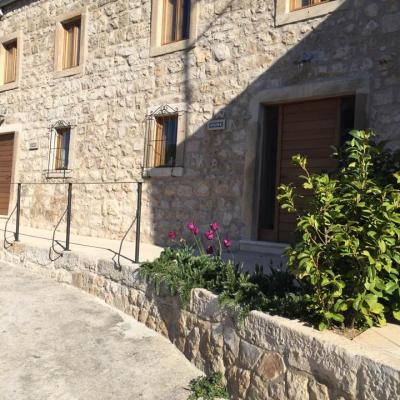 17629945 1356550631078621 5875291198167027212 N