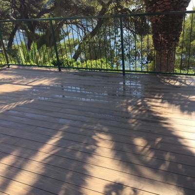 19961180 1241525425974395 2684590631471111781 N