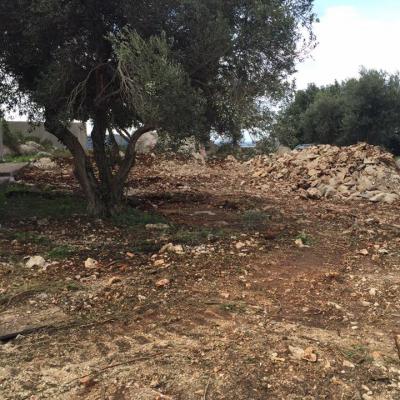 12924361 848284181965190 8515181578942875876 N